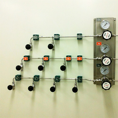   Lab gas supply system